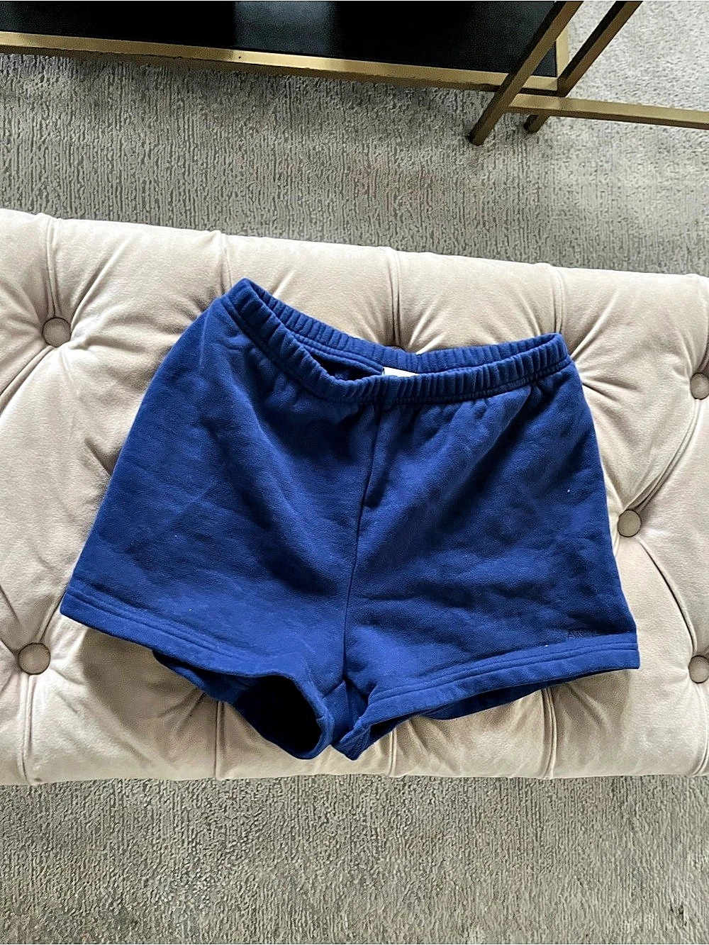 Aritzia Cozy Fleece Mega Mini Short Blue XS